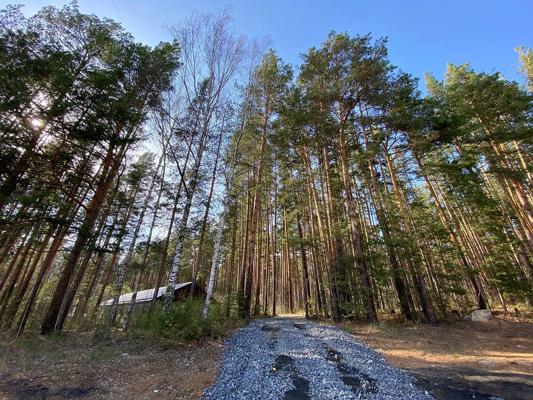 Бобры, Свердловская область: фото 5