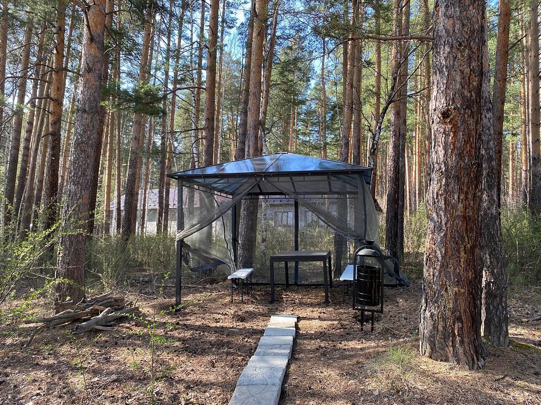 Бобры, Свердловская область: фото 3