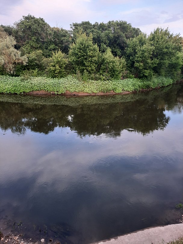 Фото 1 из отзыва о доме в аренду Русская тройка