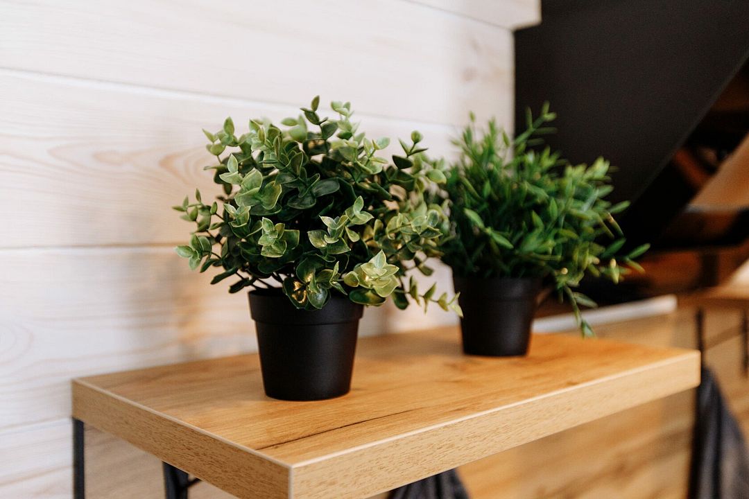 Shantivillas, Республика Карачаево-Черкесия: фото 4