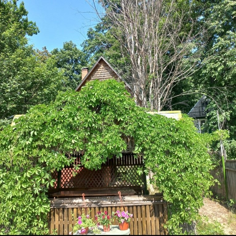 Гостевой дом на Светлой Поляне, Республика Татарстан: фото 5