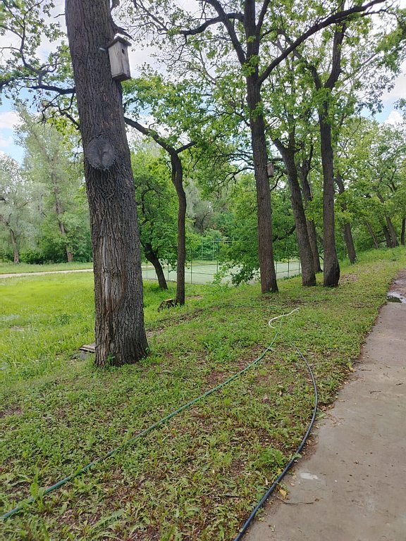 Фото из отзыва от 19.06.2025