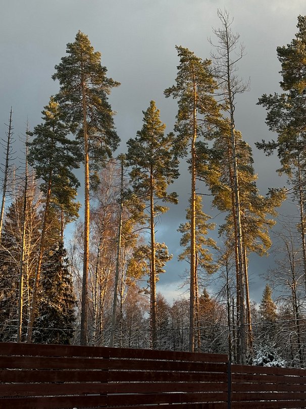 Sherwood, Московская область: фото 3