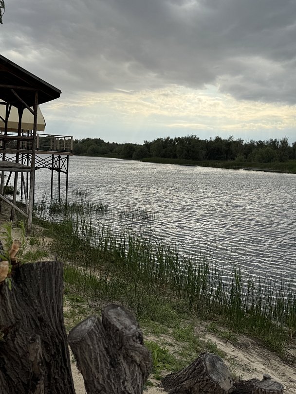 Фото 1 из отзыва о базе отдыха Донская Миля