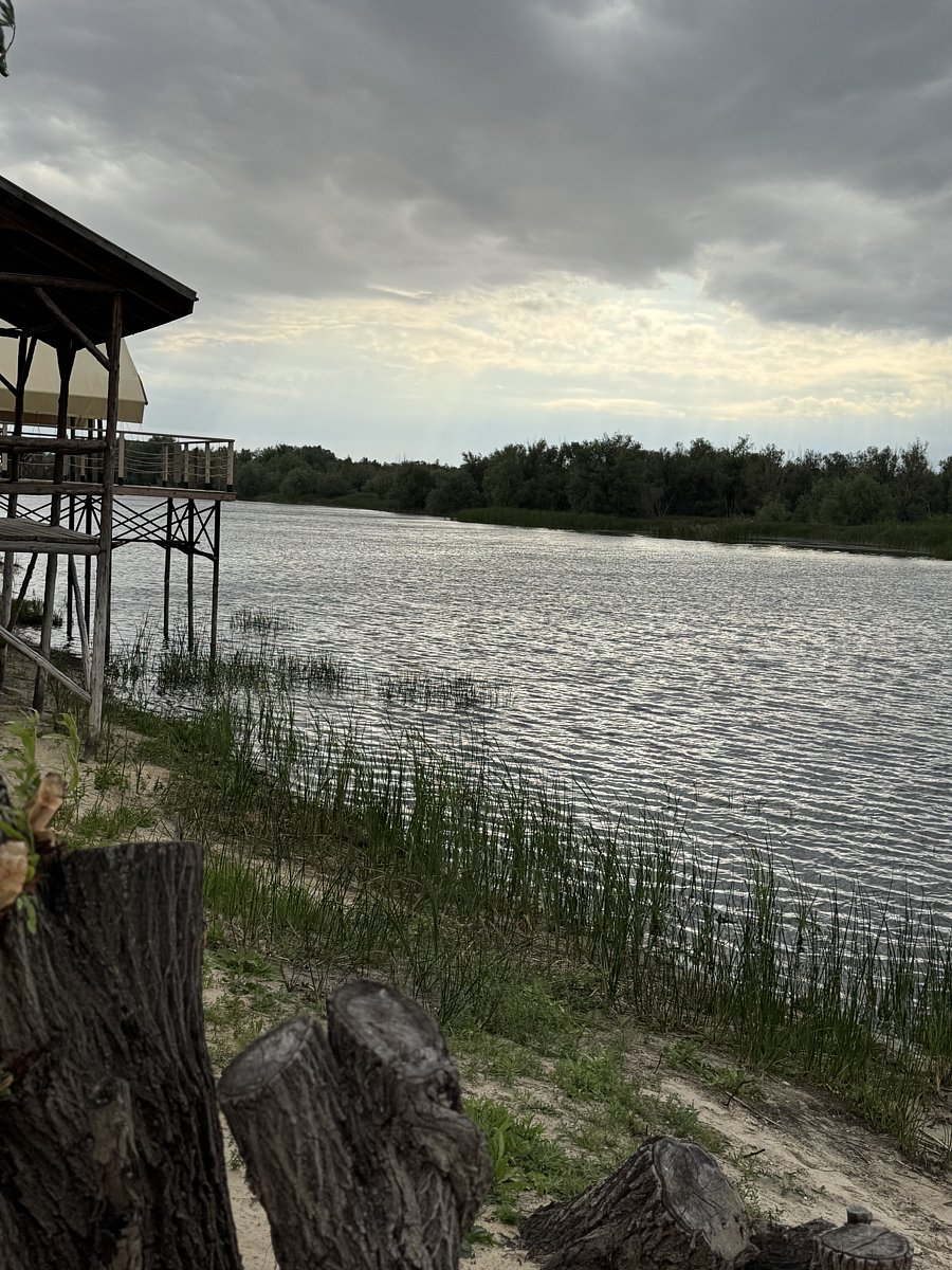 Фото 150 из отзыва о базе отдыха Донская Миля