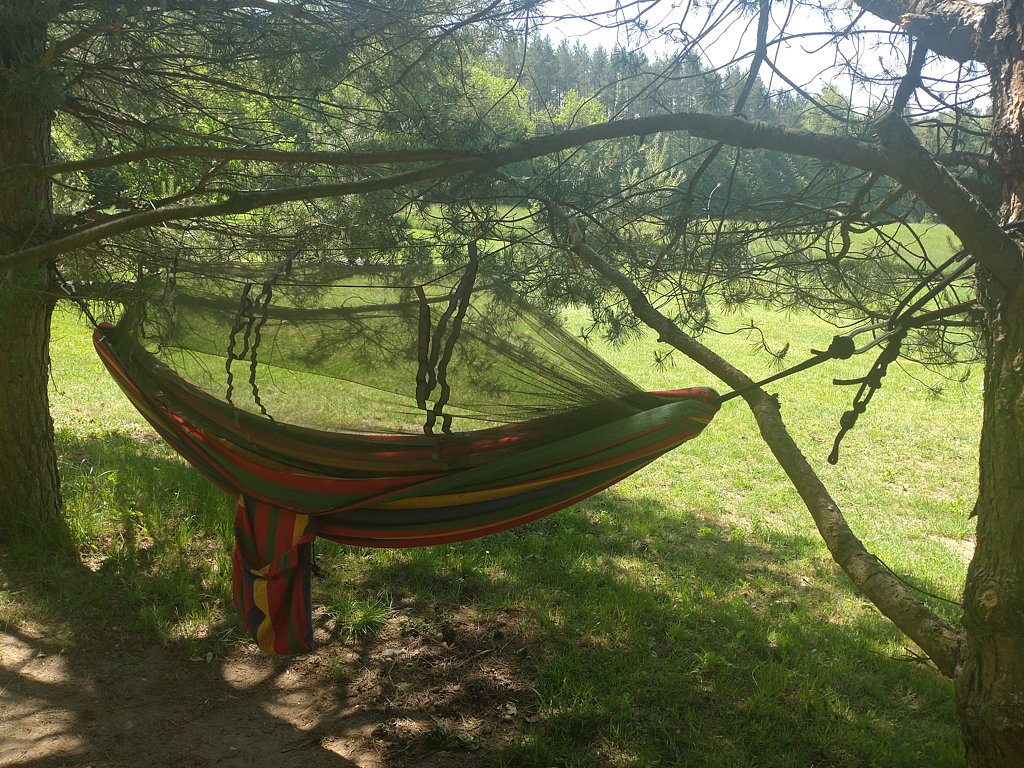 Фото из отзыва от 15.06.2025