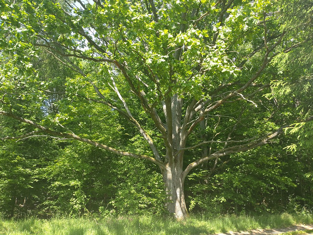 Фото из отзыва от 15.06.2025