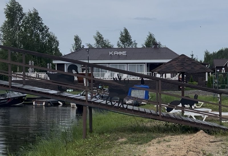 Фото из отзыва от 14.06.2025