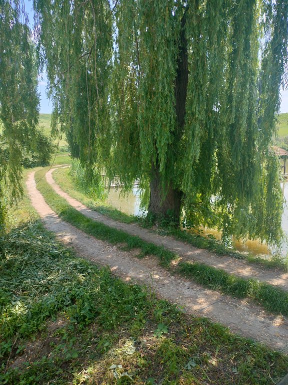 Фото из отзыва от 11.06.2025