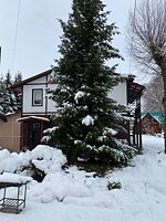 Трёхместный номер Economy, База отдыха Колибри, село Ая