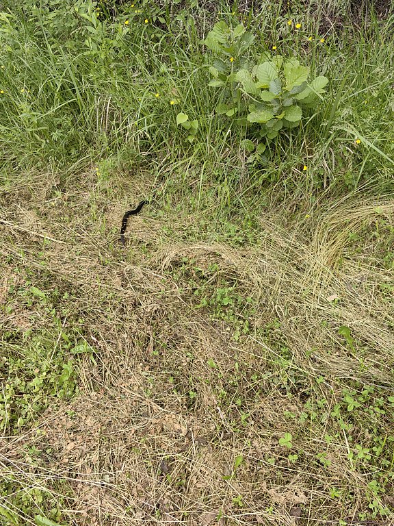 Фото из отзыва от 20.06.2025