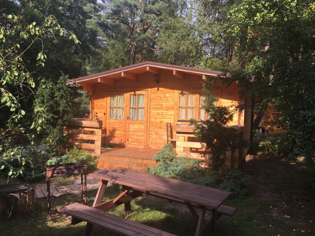 База отдыха ВитТех Куршская коса, Калининградская область: фото 5