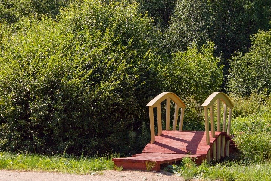 Лекшма-Речка, Архангельская область: фото 4