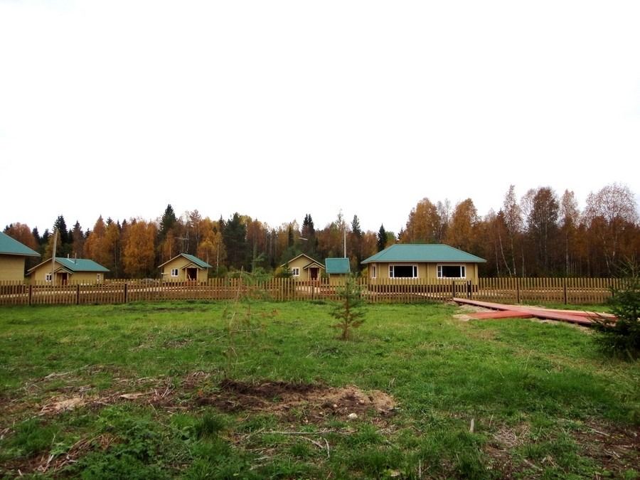 Лекшма-Речка, Архангельская область: фото 5