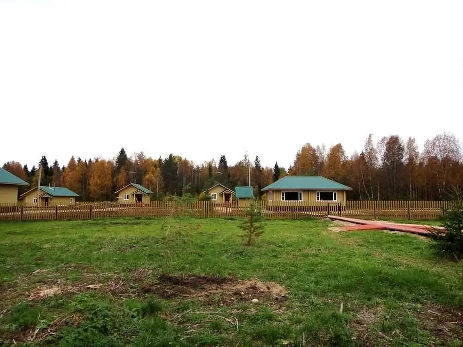 Лекшма-Речка, Архангельская область: фото 5