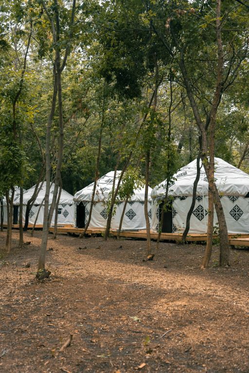 Глэмпинг Юрта Парк , Энгельс, Саратовская область