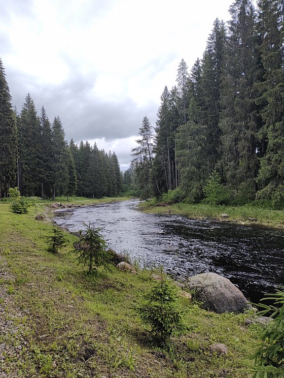 Фото из отзыва от 16.06.2025