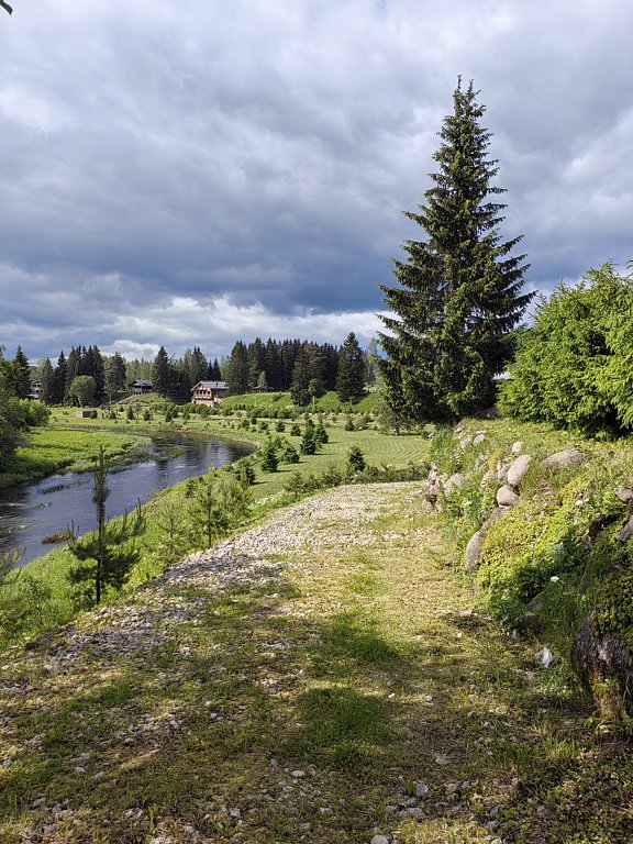 Фото из отзыва от 16.06.2025