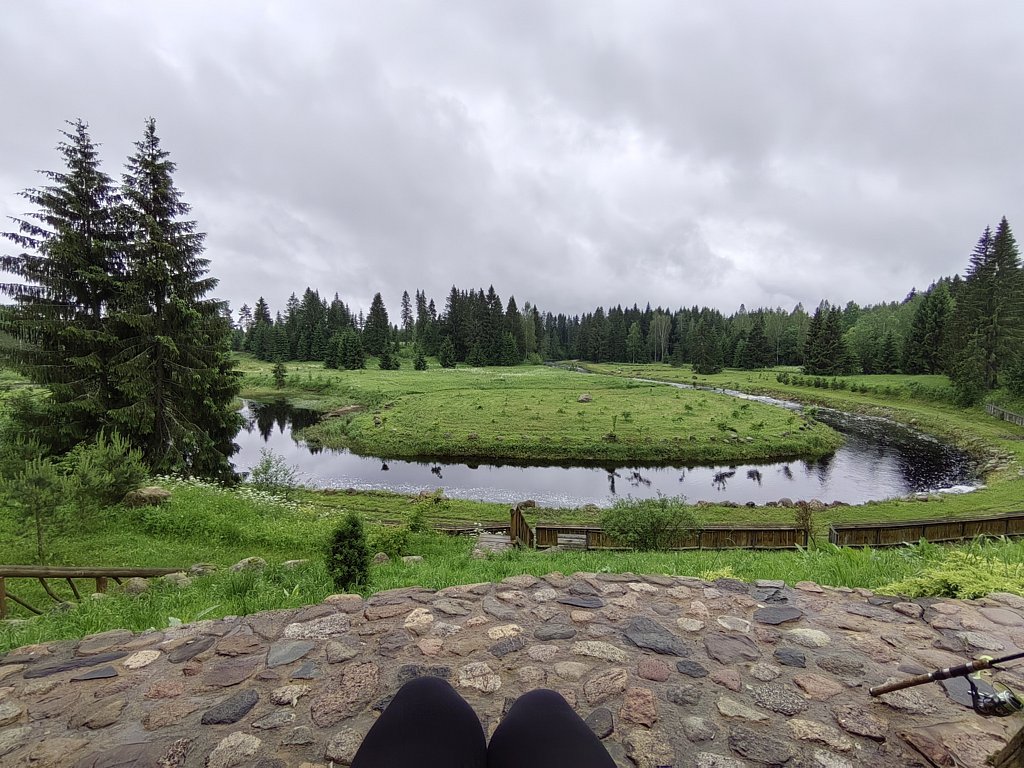 Фото из отзыва от 16.06.2025