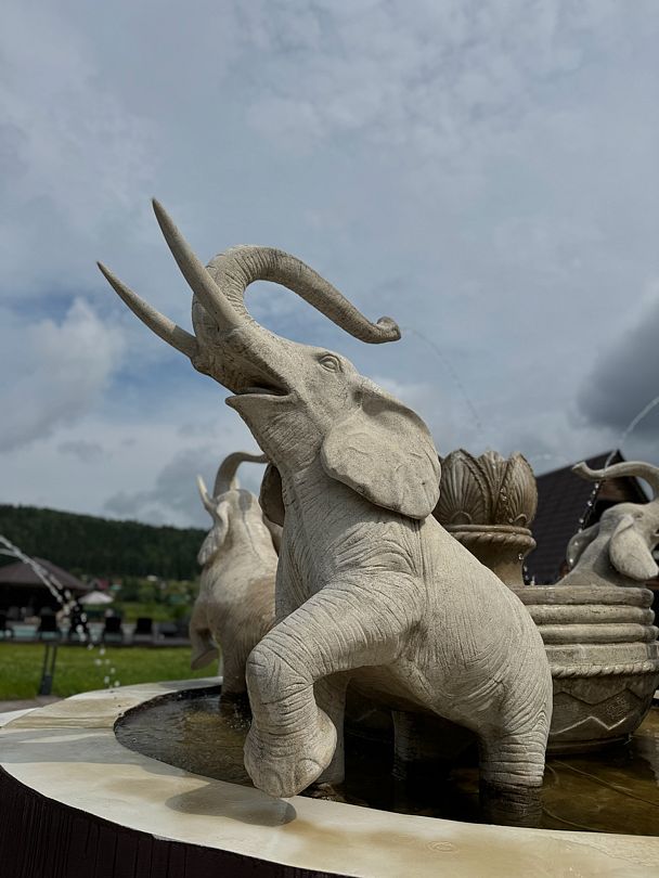 Загородный клуб Петергоф, Пермский край: фото 2