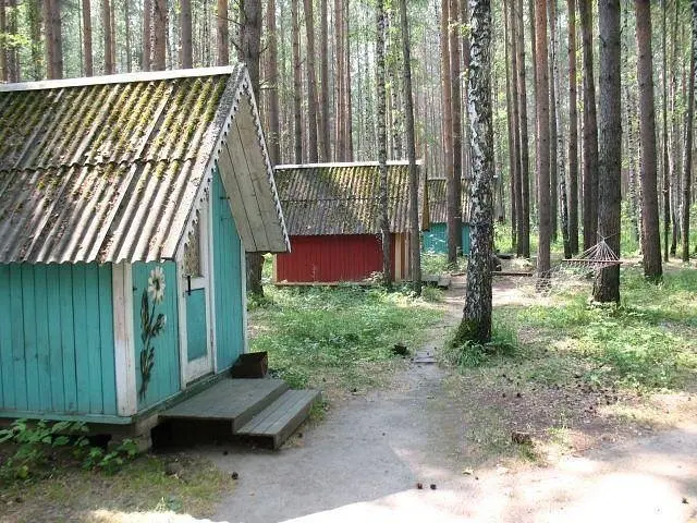Весёлая Деревня, Свердловская область: фото 4