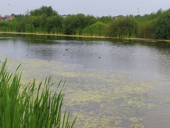 Река Конопелька