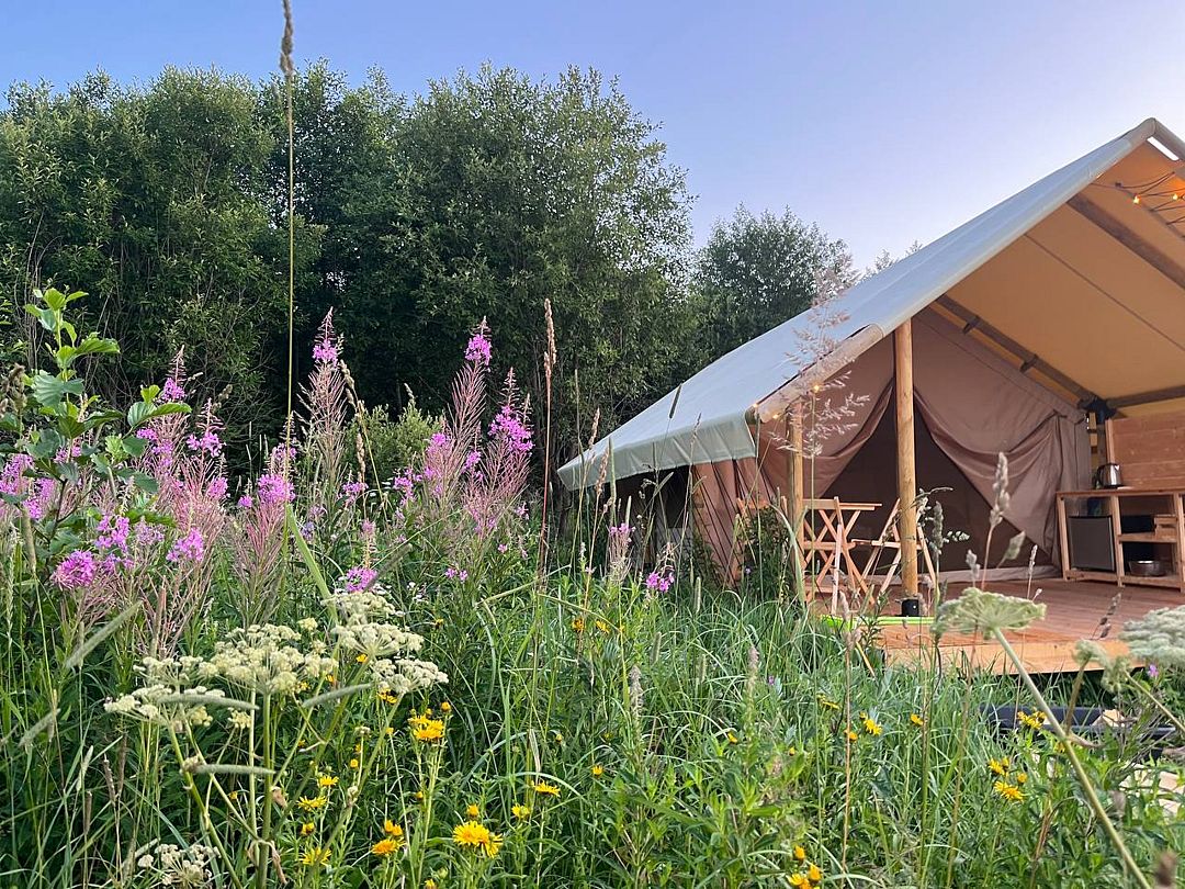 Просто COSMOS, Калужская область: фото 2