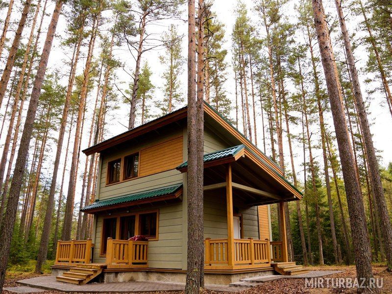 ОРЕХ, Ленинградская область: фото 5