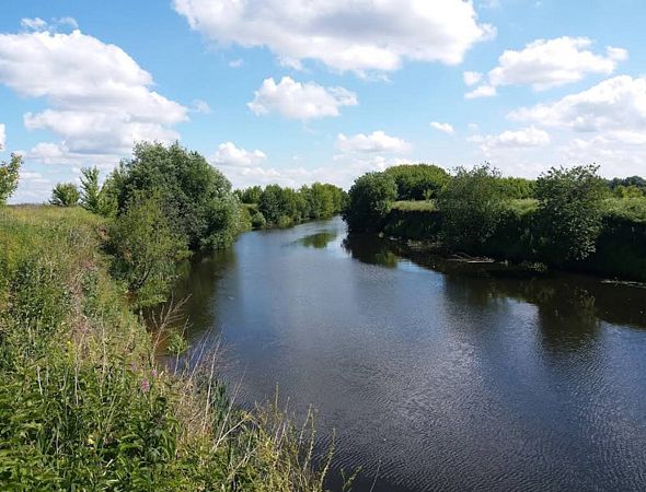 Река Пехорка