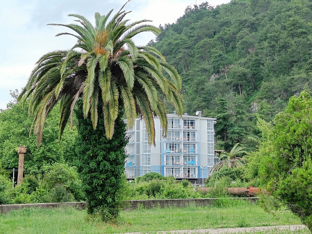 Фото из отзыва от 18.06.2025