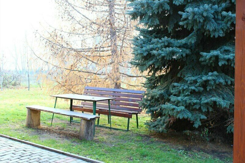 Плес, Саратовская область: фото 5