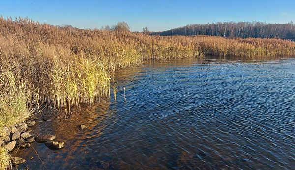 Икшинское водохранилище