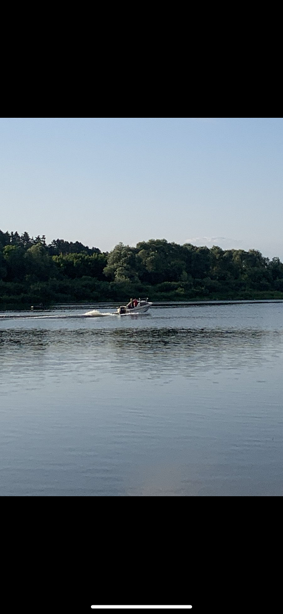 Фото 1 из отзыва о базе отдыха Березовая роща