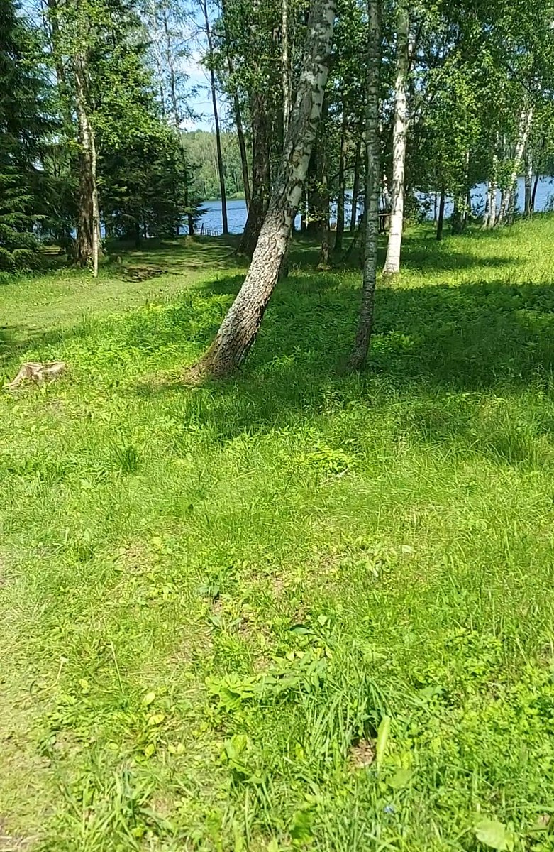 Фото 13 из отзыва о базе отдыха Серебряный Ключ