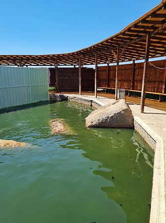 Термальный источник в Избербаше