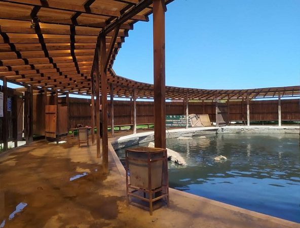 Термальный источник в Избербаше