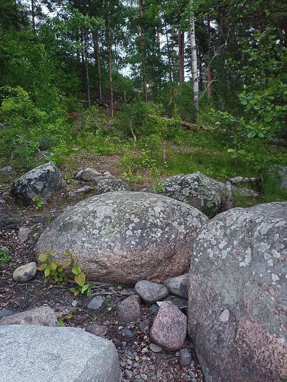 Фото из отзыва от 16.06.2025