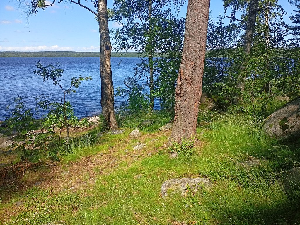 Фото из отзыва от 16.06.2025