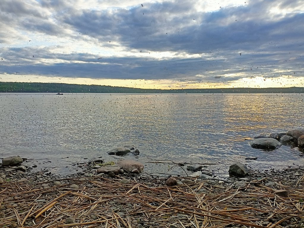 Фото из отзыва от 16.06.2025