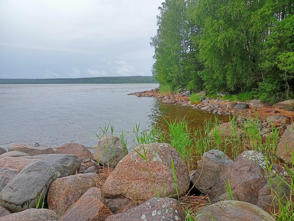 Фото из отзыва от 16.06.2025