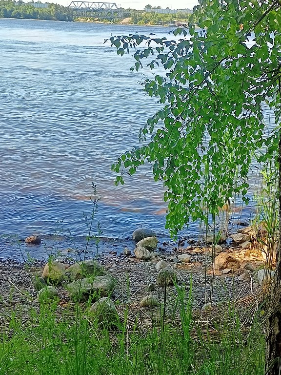 Фото из отзыва от 16.06.2025