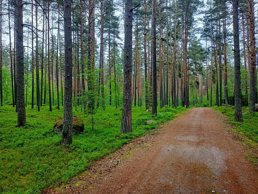 Фото 4 из отзыва о базе отдыха Парус