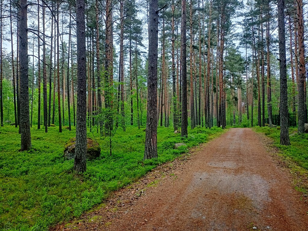 Фото из отзыва от 16.06.2025