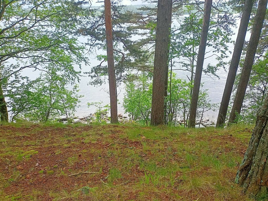 Фото из отзыва от 16.06.2025