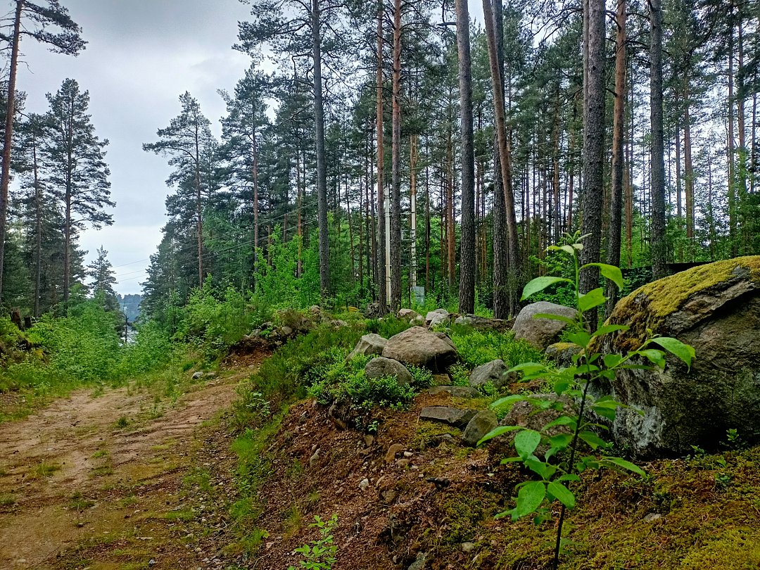 Фото 1 из отзыва о базе отдыха Парус