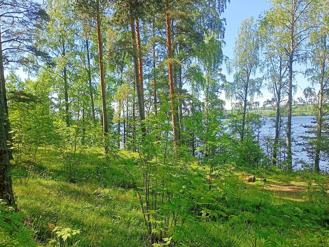 Фото 9 из отзыва о базе отдыха Парус