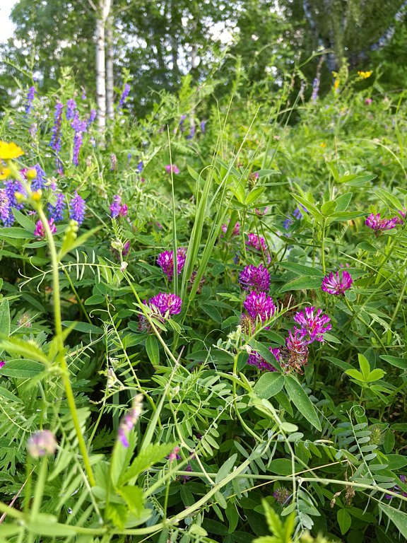 Фото из отзыва от 26.06.2025