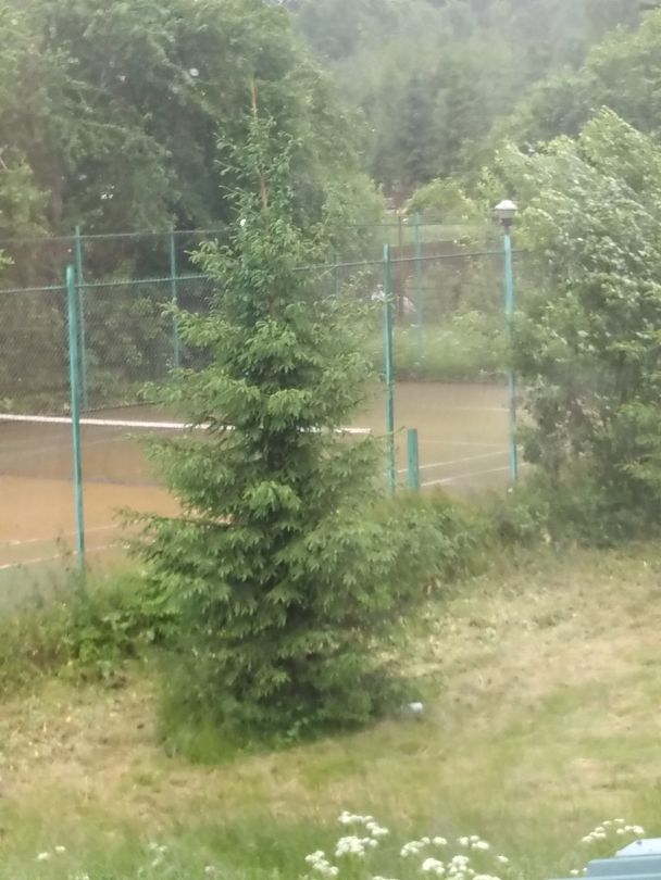 Фото 4 из отзыва о базе отдыха Стерж