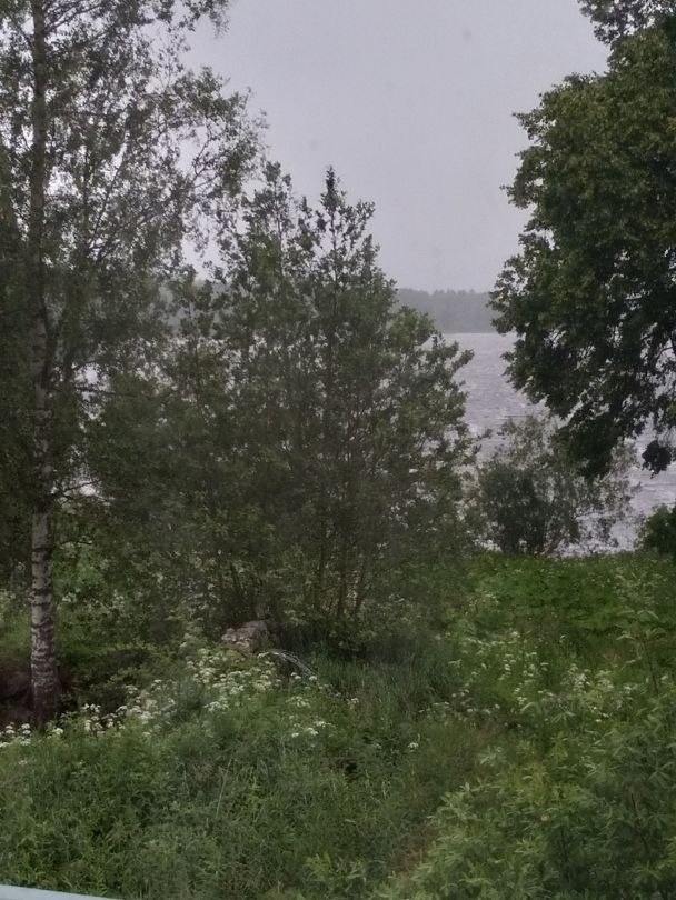 Фото 3 из отзыва о базе отдыха Стерж