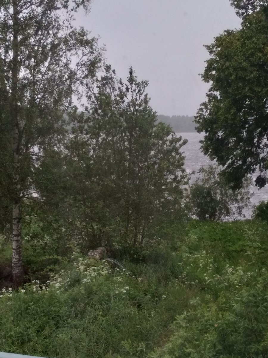 Фото 3 из отзыва о базе отдыха Стерж